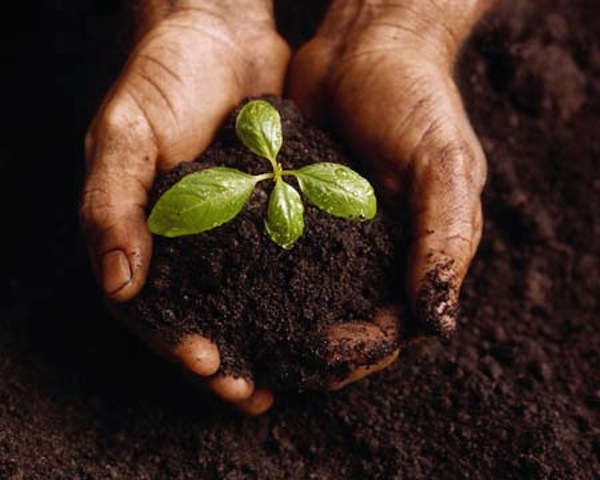 Regenerative Organic Agriculture